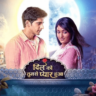 Dil Ko Tumse Pyaar Hua Serial